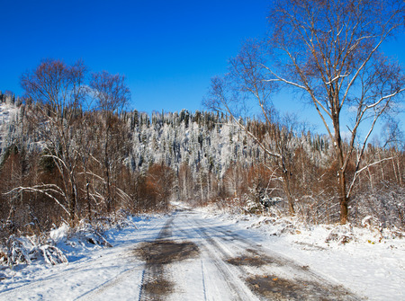 winter landscape with roadの写真素材