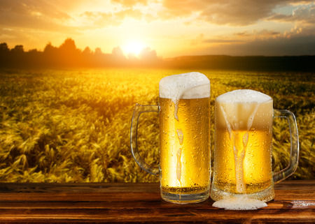 cold mug of beer in a landscapeの写真素材