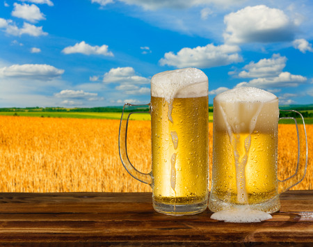 cold mug of beer in a landscapeの写真素材