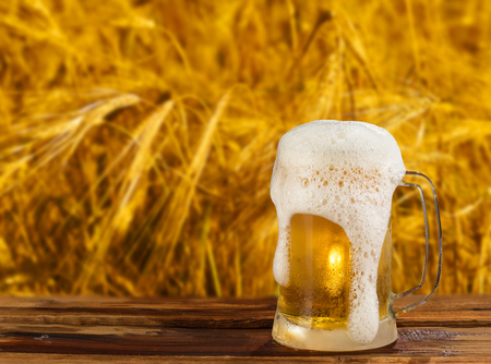 cold mug of beer in a landscapeの写真素材