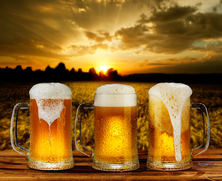 cold glass mug of beer in a landscapeの写真素材