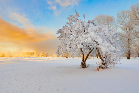 Winter landscape. Cold day.の写真素材