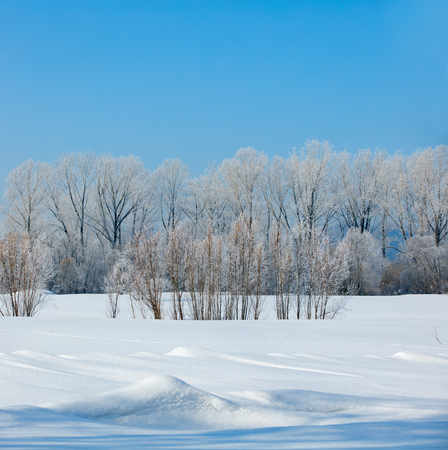 Winter landscape. Cold day.の写真素材