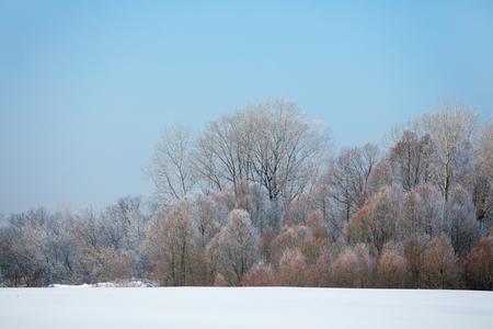 Winter landscape. Cold day.の写真素材
