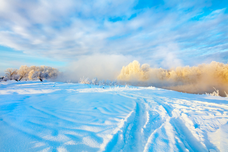 Winter landscape. Cold day.の写真素材