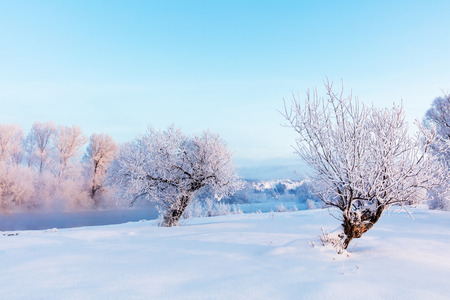 Winter landscape. Cold day.の写真素材