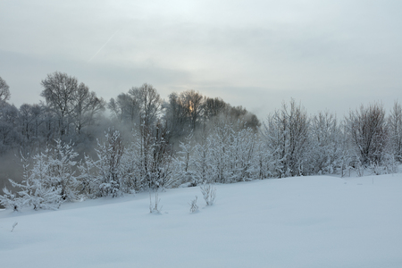 Winter landscape. Cold day.の写真素材
