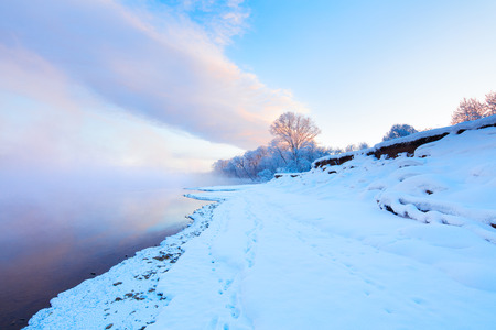Winter landscape of trees and river in a foggy morning. Frost and cold and sunshine.の写真素材