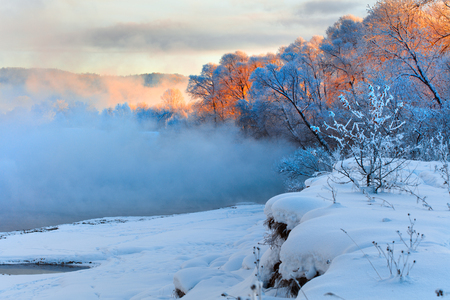 Winter landscape of trees and river in a foggy morning. Frost and cold and sunshine.の写真素材