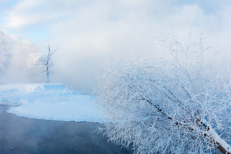 Winter landscape of trees and river in a foggy morning. Frost and cold and sunshine.の写真素材