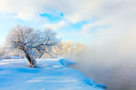 Winter landscape of trees and river in a foggy morning. Frost and cold and sunshine.の写真素材
