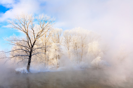Winter landscape of trees and river in a foggy morning. Frost and cold and sunshine.の写真素材