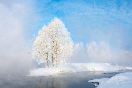Winter landscape of trees and river in a foggy morning. Frost and cold and sunshine.の写真素材