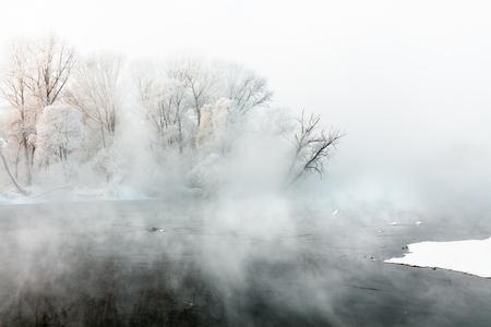 Winter landscape of trees and river in a foggy morning. Frost and cold and sunshine.の写真素材