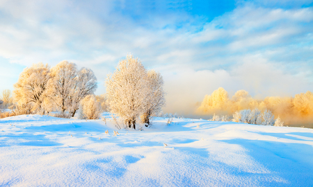 Winter landscape. Cold day.の写真素材
