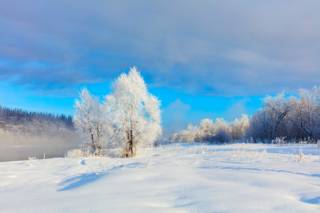 Winter landscape. Cold day.の写真素材