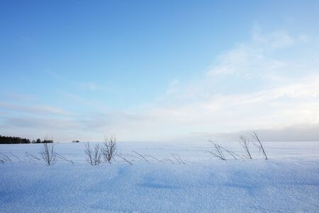 Winter landscape. Cold day.の写真素材