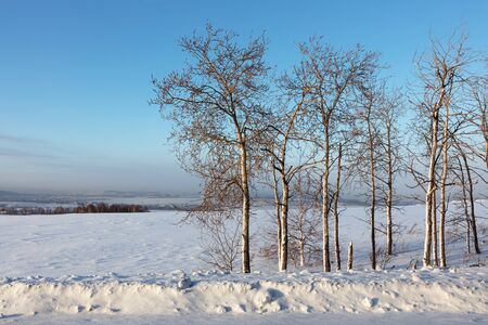 Winter landscape. Cold day.の写真素材
