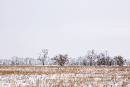 Winter landscape. Cold day.の写真素材