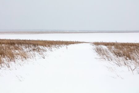 Winter landscape. Cold day.の写真素材