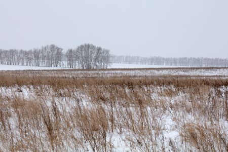 Winter landscape. Cold day.の写真素材