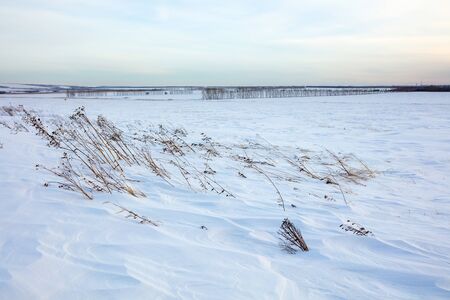 Winter landscape. Cold day.の写真素材