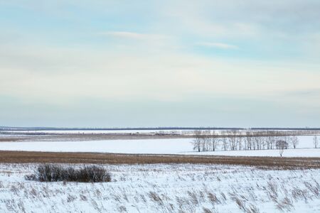 Winter landscape. Cold day.の写真素材
