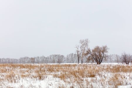 Winter landscape. Cold day. Snow seasonの写真素材