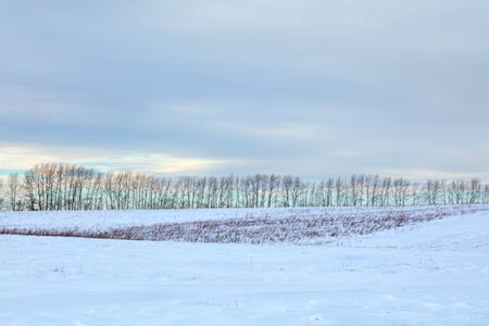 Winter landscape. Cold day.の写真素材