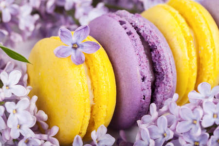 Traditional french macaroons with twigs of lilacの写真素材