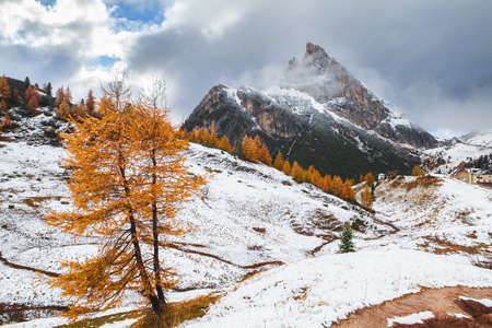 Mount Sass de Stria and stone trench from first world war on foreground, Falzarego path, Dolomites - Italyの写真素材