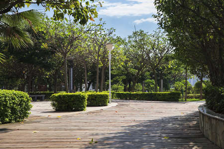 Road in a park during sunny day. Xiamen Chinaの写真素材