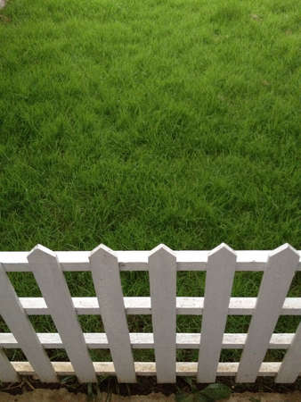 Green grassの素材