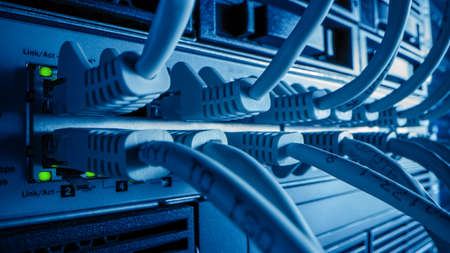 Macro Shot: Ethernet Cables Connected to Router Ports with Blinking Lights. Telecommunications: RJ45...