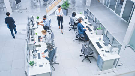 Diverse Multinational Team of Business Managers and Specialists Work on Desktop Computers, Have...