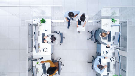 Top Down Shot of Big Busy Corporate Office with Tow Rows off Businessmen and Businesswomen Working on Desktop Computers. Bright Open Space Office with Businesspeople and Salespeopleの写真素材