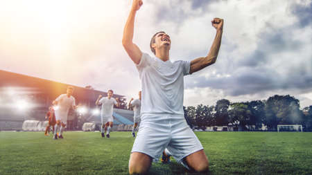 Professional Soccer Player Does Knee Slide Celebrates Awesome Victory after Scoring a Goal. His Team Celebrates Victory on a Stadium. Warm Sunlight Flare.の写真素材