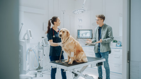 Young Man in Glasses, Accompanying His Pet Golden Retriever at Doctor's Appointment at Veterinary Clinic. Dog Standing on Examination Table While Female Vet with Stethoscopeの写真素材