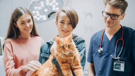 Professional Animal Clinic Specialist with Stethoscope Posing with a Family with a Pet Maine Coon in a Contemporary Medical Veterinary Clinic Facility with Computersの写真素材