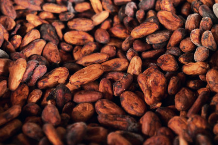 Cocoa beans background. Cocoa beans texture. Cocoa beans backgroundの写真素材