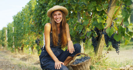 Beautiful young woman with a basket of grapes in the vineyard