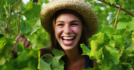 Beautiful young woman in a vineyard smiling at the camera.の写真素材