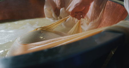 Chef working in a cheese factory, close-up