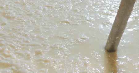 The process of making cheese in the dairy farm, close-up