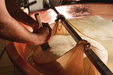 The process of making cheese in a cheese factory. Production of cheese.