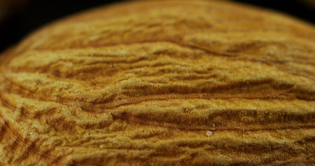 Almond macro close-up. Macro shot of a dried fruit.の写真素材