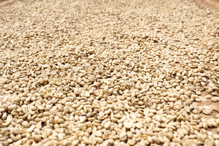 Dried nuts in baskets at a market in Italyの写真素材