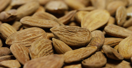 Almond nuts close-up. Healthy food background. Macro.の写真素材