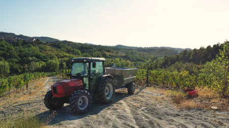 Tractor on the vineyard in Tuscany, Italy.