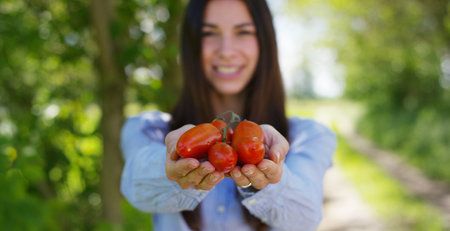 Young woman holding fresh tomatoes in her hands. Selective focus.の写真素材